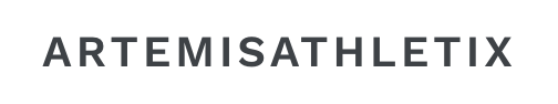 artemissupport-production logo